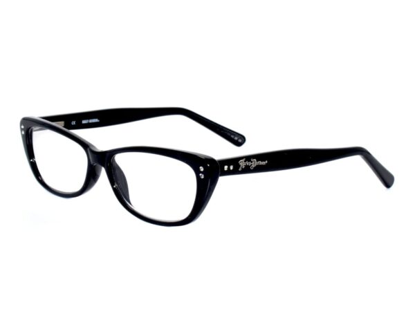 Harley Davidson 3013 Black
